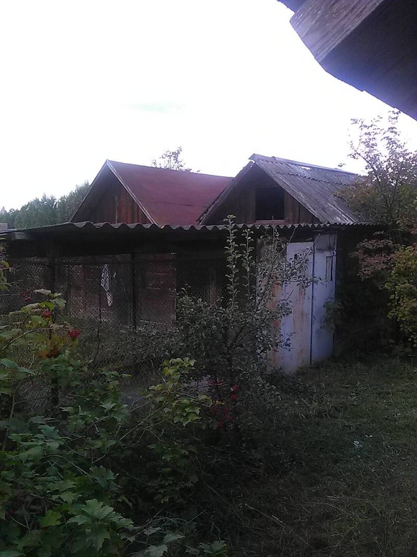 Продам дом в д.Борисковичи в 8 км от г. Мозыря 70 соток приват. земли. 3