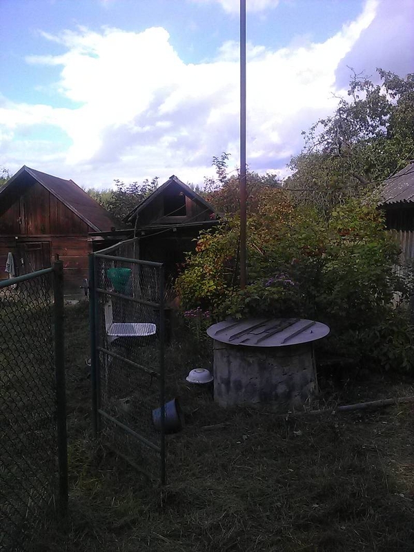 Продам дом в д.Борисковичи в 8 км от г. Мозыря 70 соток приват. земли. 4